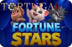 Fortune Stars